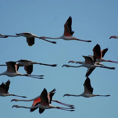 Confortevole Casa 펜션 스틴티노